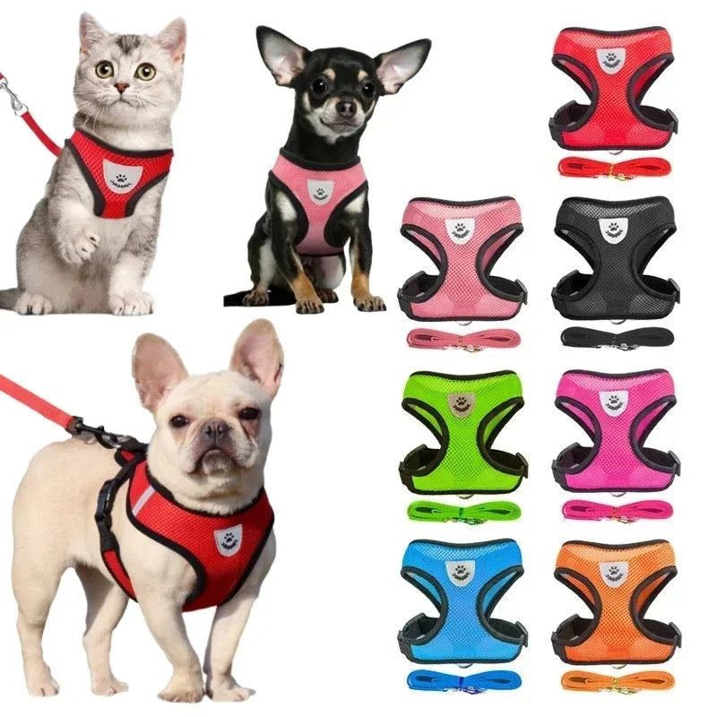 Szelki dla szczeniaka i kota